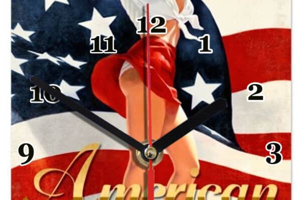 pin up american beauty